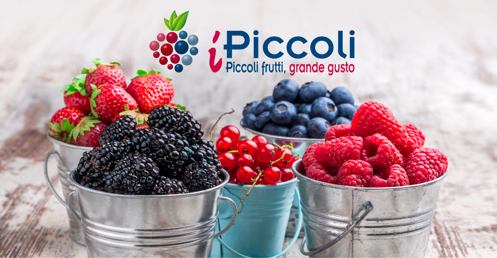 Ipiccoli Berries Spreafico